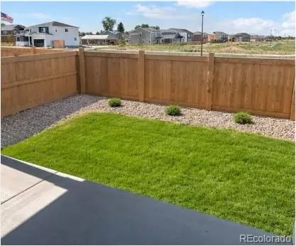 1436 Boyle St, Windsor, CO 80550 photo 36