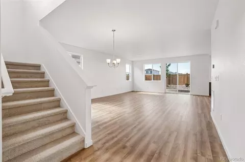 1436 Boyle St, Windsor, CO 80550 photo 5