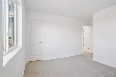 1436 Boyle St, Windsor, CO 80550 photo 24