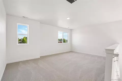1436 Boyle St, Windsor, CO 80550 photo 21