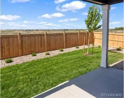 1436 Boyle St, Windsor, CO 80550 photo 35