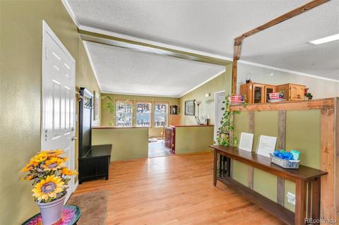 4663 Beaver Rdg, Elbert, CO 80106 photo 5