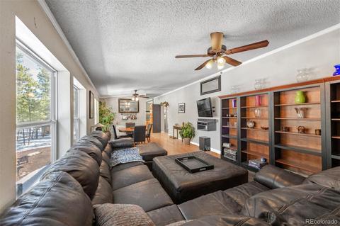 4663 Beaver Rdg, Elbert, CO 80106 photo 10