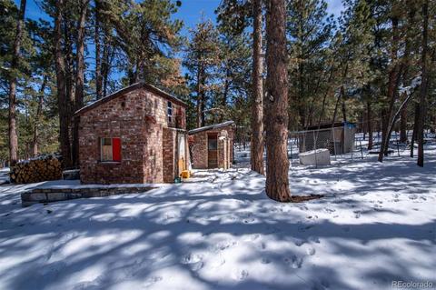 4663 Beaver Rdg, Elbert, CO 80106 photo 3