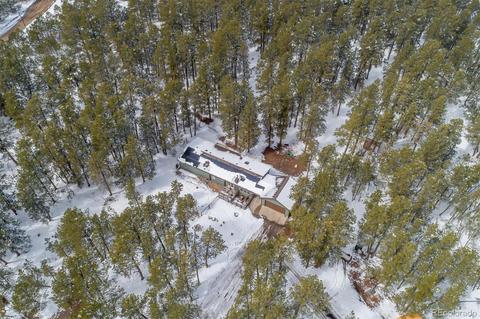 4663 Beaver Rdg, Elbert, CO 80106 photo 34