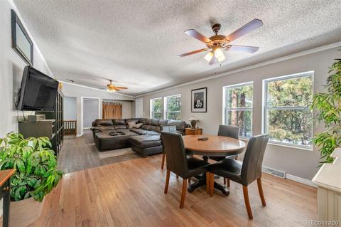 4663 Beaver Rdg, Elbert, CO 80106 photo 9