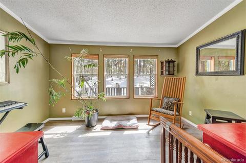 4663 Beaver Rdg, Elbert, CO 80106 photo 8