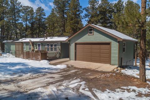 4663 Beaver Rdg, Elbert, CO 80106 photo 1