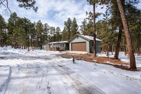 4663 Beaver Rdg, Elbert, CO 80106 photo 2