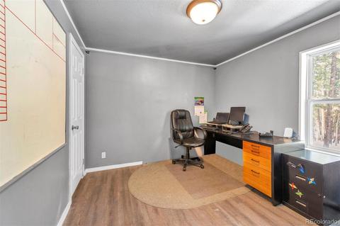 4663 Beaver Rdg, Elbert, CO 80106 photo 19