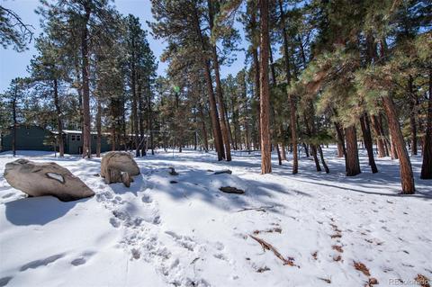 4663 Beaver Rdg, Elbert, CO 80106 photo 32