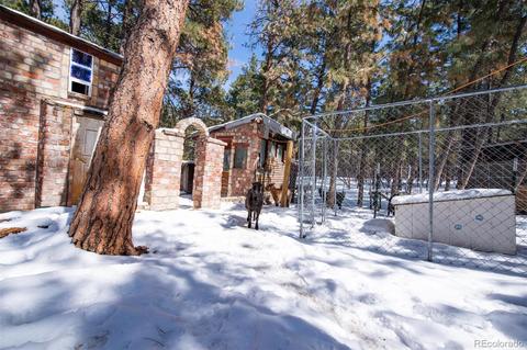 4663 Beaver Rdg, Elbert, CO 80106 photo 4