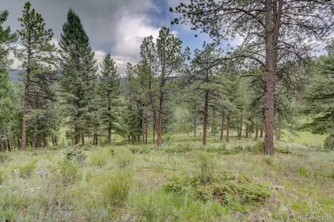 13662 Douglas Ranch Dr, Pine, CO 80470 photo 38