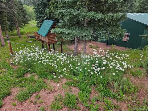 648 Westcliffe Dr, Rye, CO 81069 photo 9