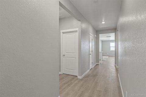 1945 Raindrop Dr, Windsor, CO 80550 photo 11