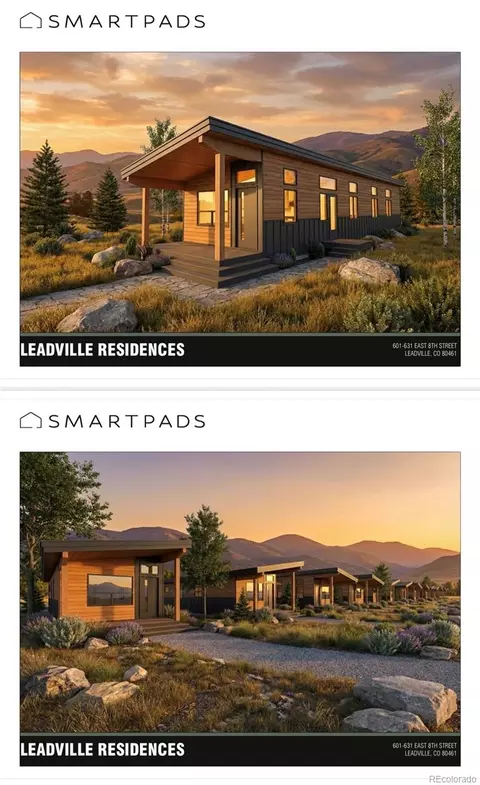 601 E 8th St, Leadville, CO 80461