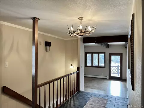 14803 Wandcrest Dr, Pine, CO 80470 photo 4