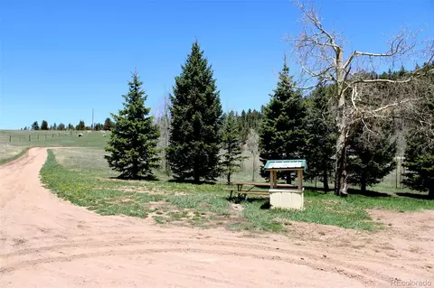 794 Konn Rd, Rye, CO 81069 photo 49
