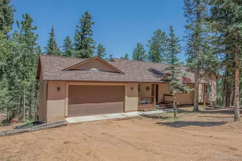 277 Aspen Cir, Divide, CO 80814 photo 33