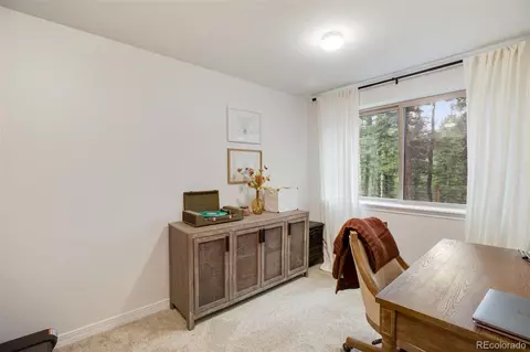277 Aspen Cir, Divide, CO 80814 photo 24