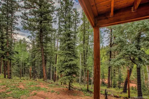 277 Aspen Cir, Divide, CO 80814 photo 35
