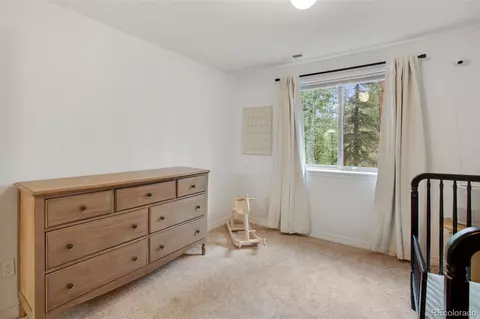 277 Aspen Cir, Divide, CO 80814 photo 30