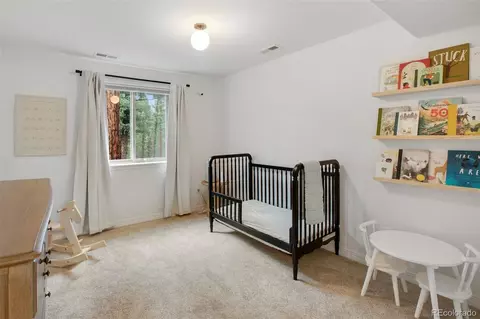 277 Aspen Cir, Divide, CO 80814 photo 31