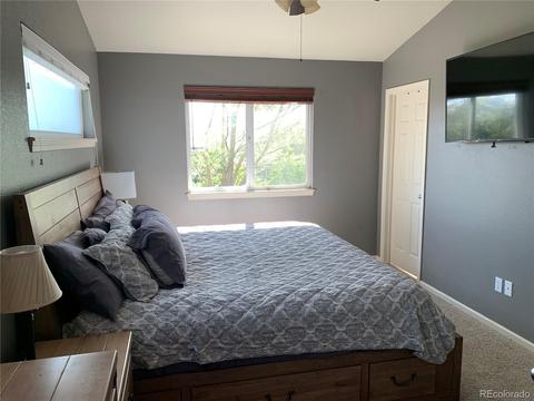 902 Cliffrose Way, Severance, CO 80550 photo 11