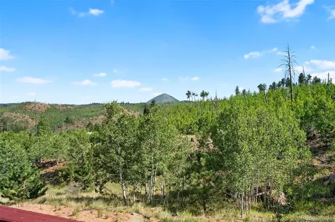 Other - 504 Valley Dr, Divide, CO 80814 photo 10 of 11