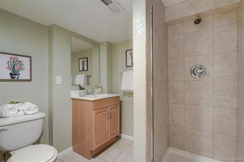 2909 Ivanhoe St, Denver, CO 80207 photo 23