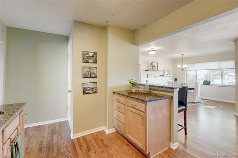 2909 Ivanhoe St, Denver, CO 80207 photo 9