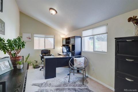 2909 Ivanhoe St, Denver, CO 80207 photo 26