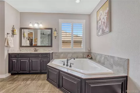 Bath - 27728 E Kettle Pl, Aurora, CO 80016 photo 2 of 5