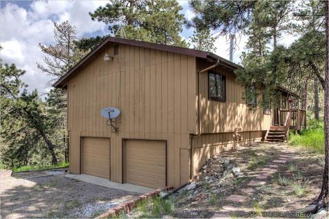 67 Magpie Ln, Bailey, CO 80421 photo 1