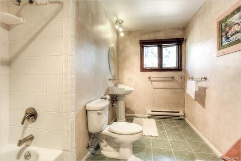 67 Magpie Ln, Bailey, CO 80421 photo 6