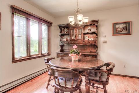67 Magpie Ln, Bailey, CO 80421 photo 3