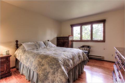 67 Magpie Ln, Bailey, CO 80421 photo 9