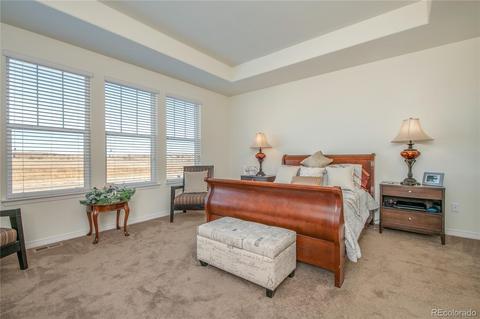 6695 E 135th Ave, Thornton, CO 80602 photo 9