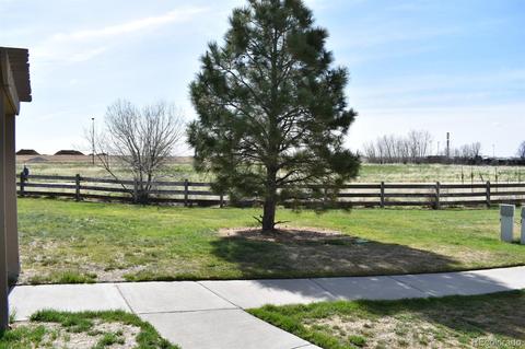 21578 E 45 Ave, Denver, CO 80249 photo 6