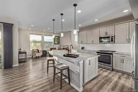 1009 Forest Chime Pl, Monument, CO 80132 photo 12