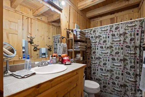 1119 Venture Road Rd, Fairplay, CO 80440 photo 23