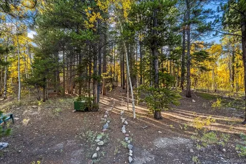 1119 Venture Road Rd, Fairplay, CO 80440 photo 40