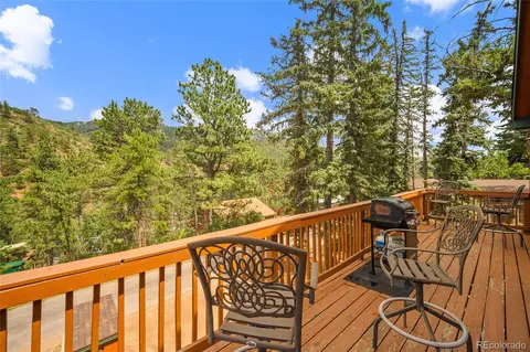 9845 Mesa Rd, Cascade, CO 80809 photo 13