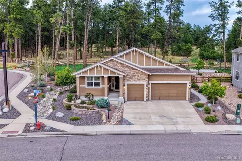 Exterior - 1706 Catnap Ln, Monument, CO 80132 photo 5 of 5