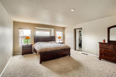 21424 E 55th Ave, Denver, CO 80249 photo 13