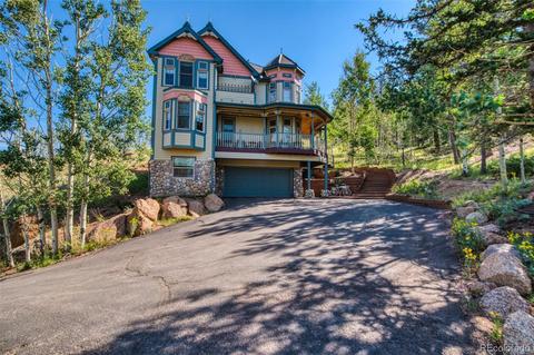 260 Lake Dr E, Divide, CO 80814 photo 4