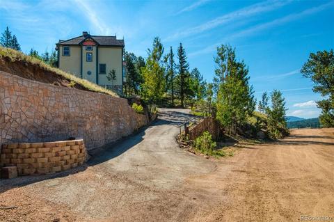 260 Lake Dr E, Divide, CO 80814 photo 32