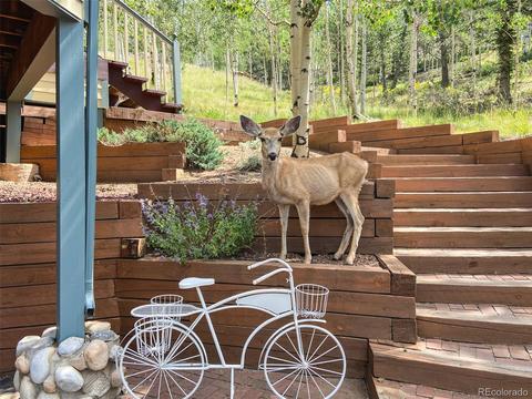 260 Lake Dr E, Divide, CO 80814 photo 31