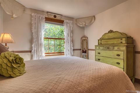 260 Lake Dr E, Divide, CO 80814 photo 29