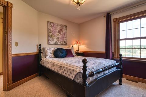 260 Lake Dr E, Divide, CO 80814 photo 26